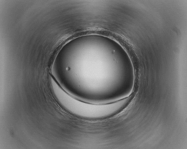 X0000113181257200909041336