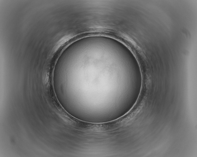 X0000113181259200909041336