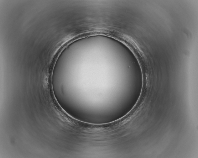 X0000113181260200909041336