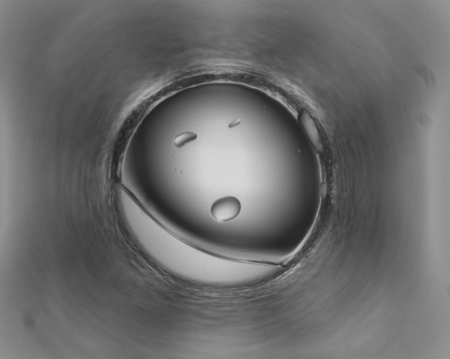 X0000113181261200909041336