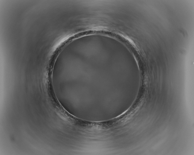 X0000113181263200909041336