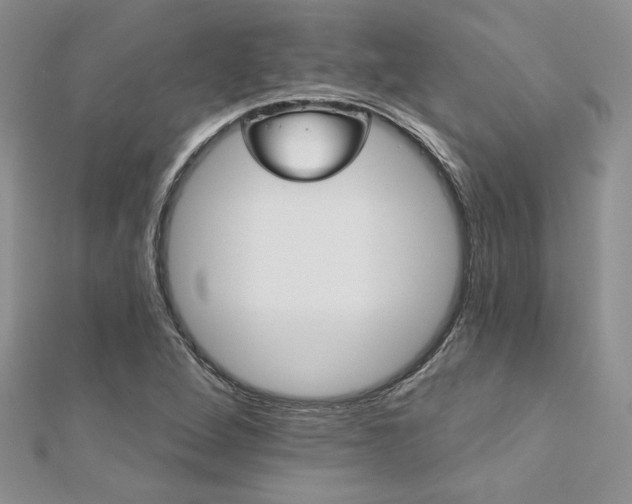 X0000113181264200909041336