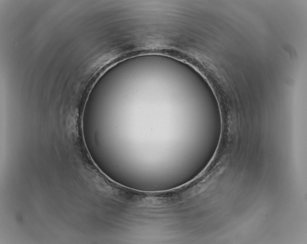 X0000113181265200909041336