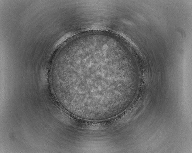 X0000113181266200909041336
