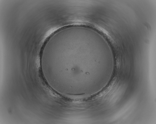 X0000113181267200909041336