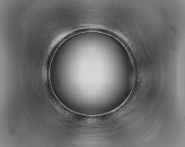 X0000113181271200909041335