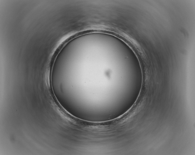 X0000113181272200909041335