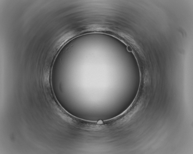 X0000113181273200909041335