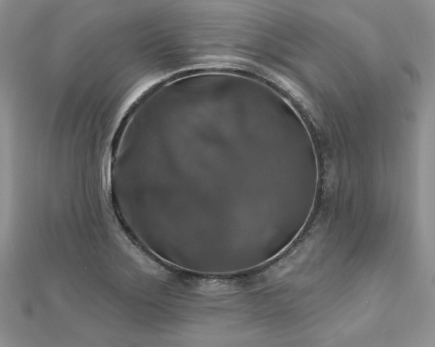 X0000113181275200909041335