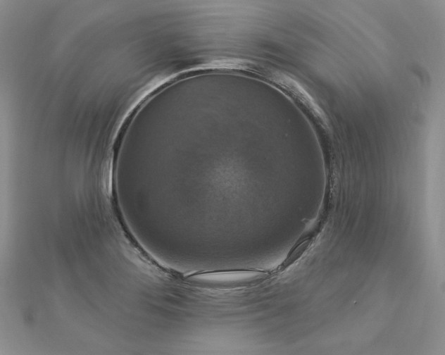 X0000113181276200909041335