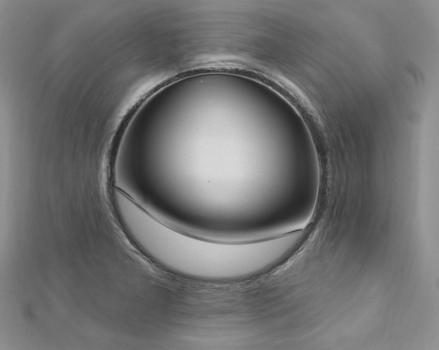 X0000113181277200909041335
