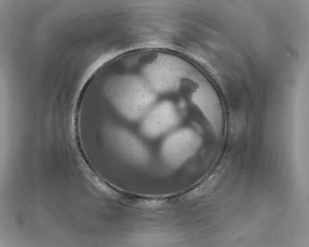 X0000113181278200909041335