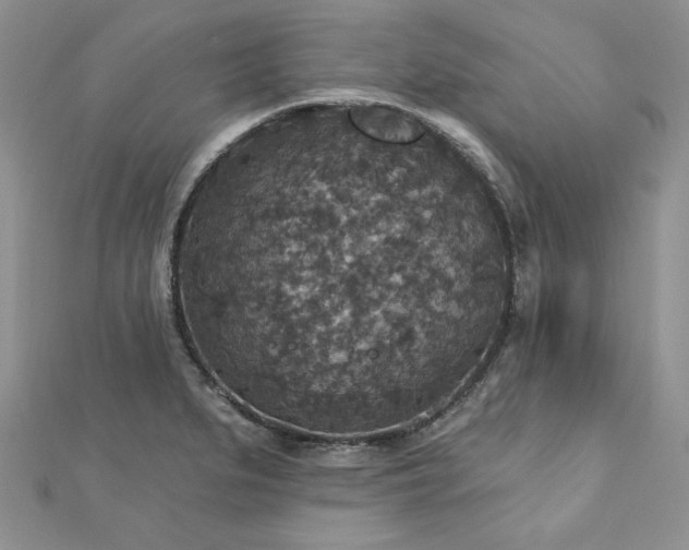 X0000113181279200909041335