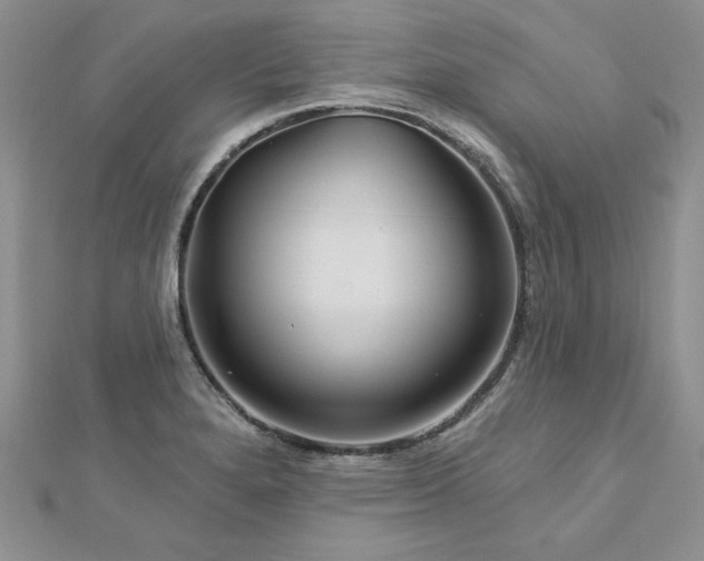 X0000113181280200909041335