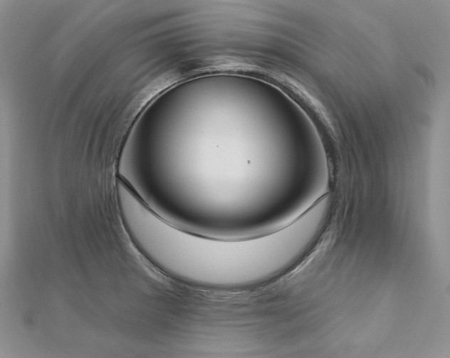 X0000113181281200909041335