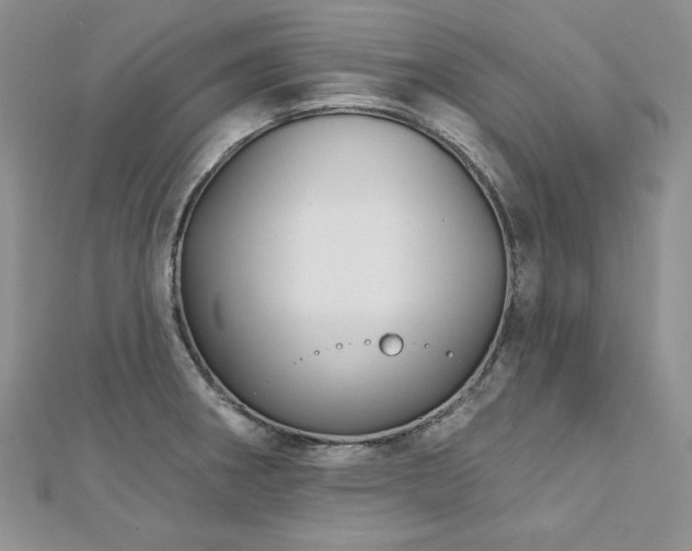 X0000113181282200909041335