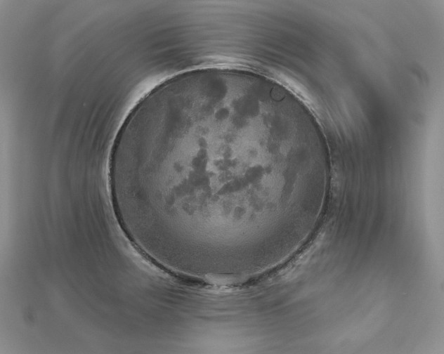 X0000113181283200909041335
