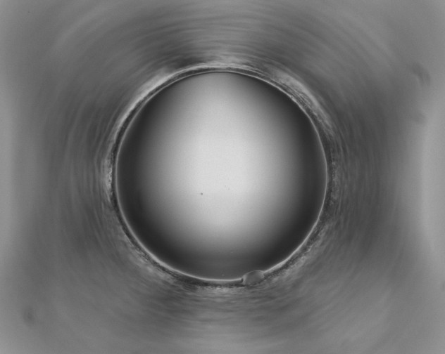 X0000113181284200909041335