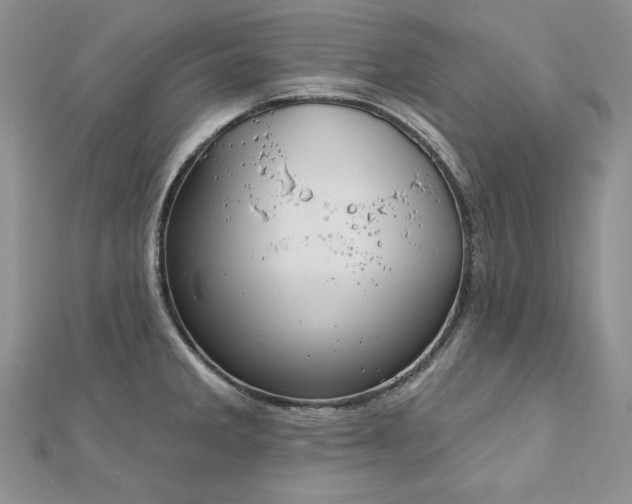 X0000113181285200909041335