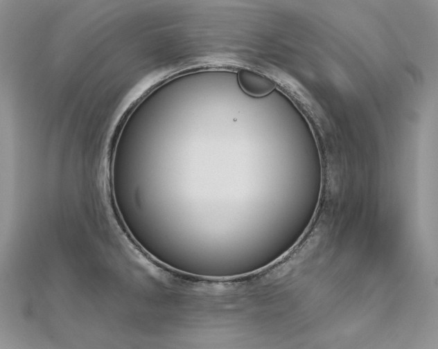X0000113181286200909041335