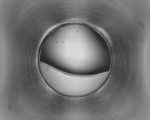 X0000113181288200909041335