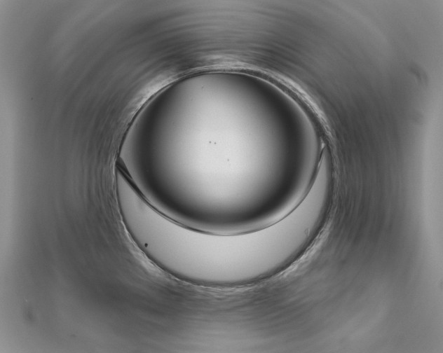 X0000113181289200909041335