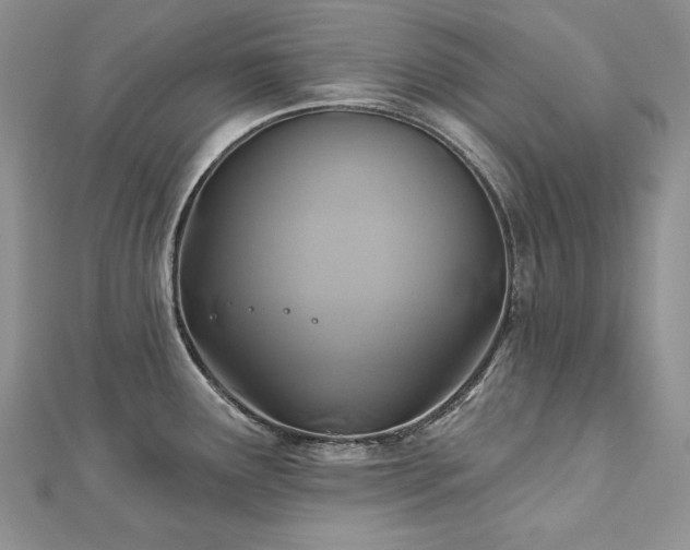 X0000113181291200909041335