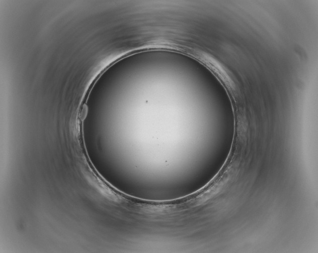 X0000113181292200909041335