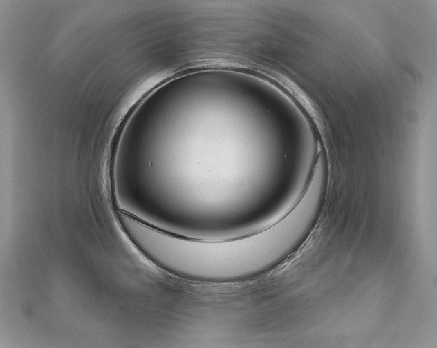 X0000113181293200909041335