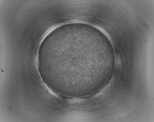 X0000113181294200909041335