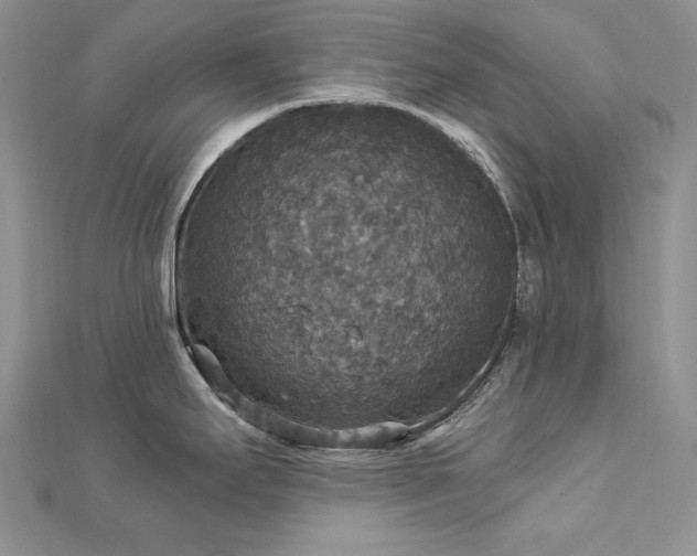 X0000113181295200909041335