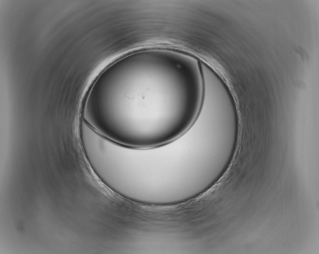 X0000113181296200909041335