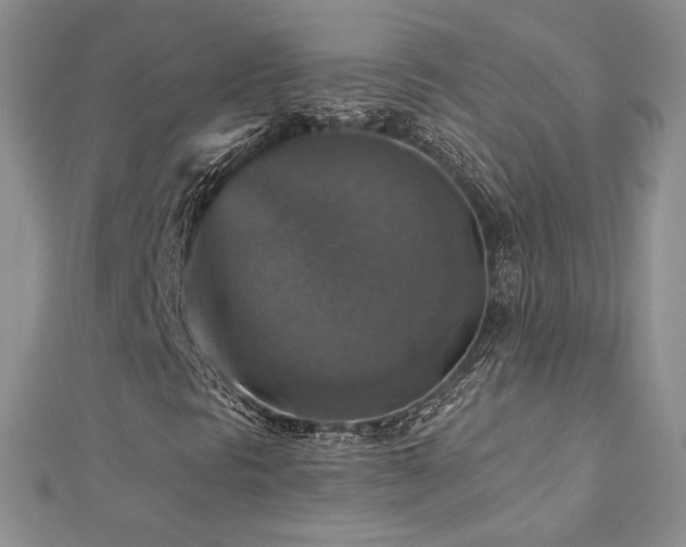 X0000113181297200909041335