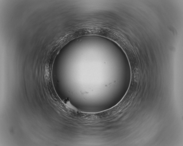 X0000113181298200909041335