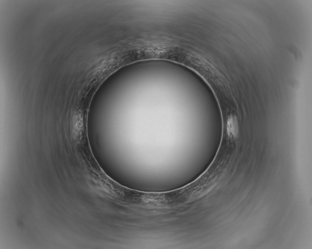 X0000113181299200909041335