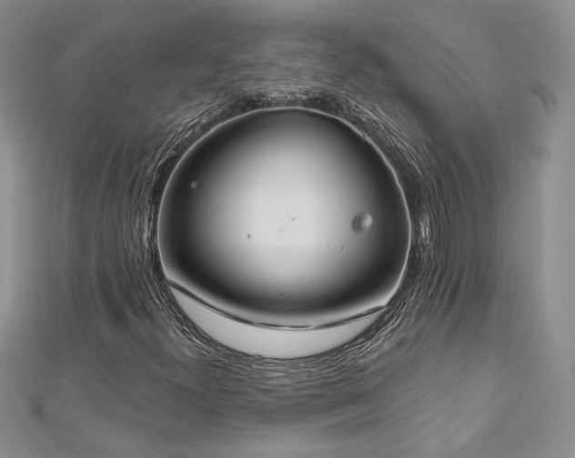 X0000113181300200909041335