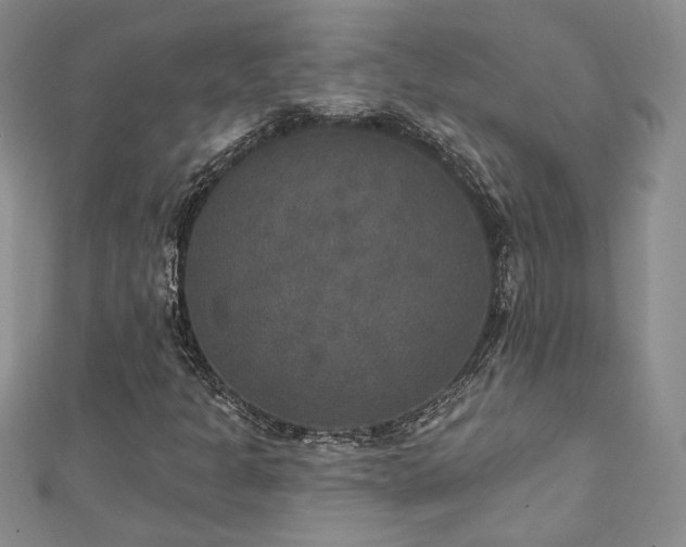X0000113181301200909041335