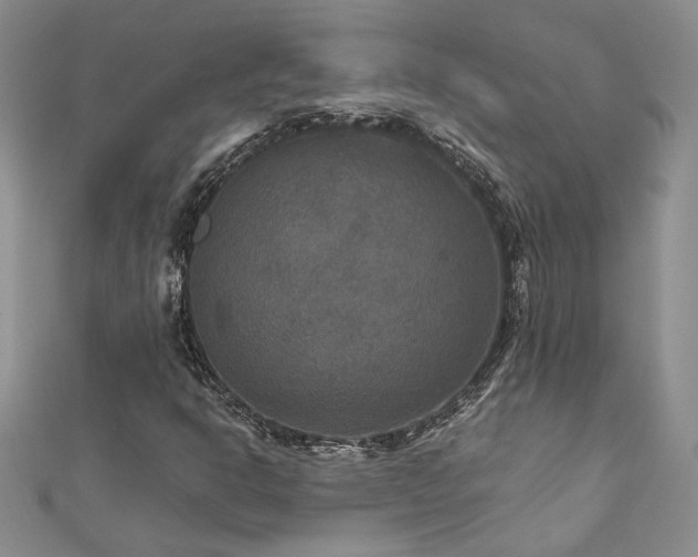 X0000113181302200909041335
