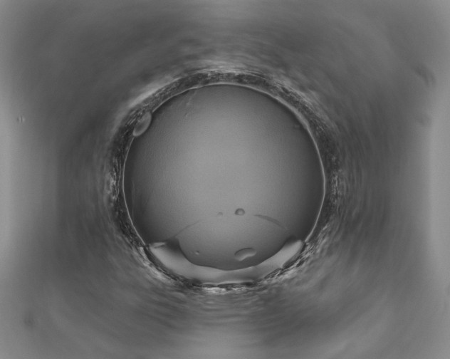X0000113181303200909041335