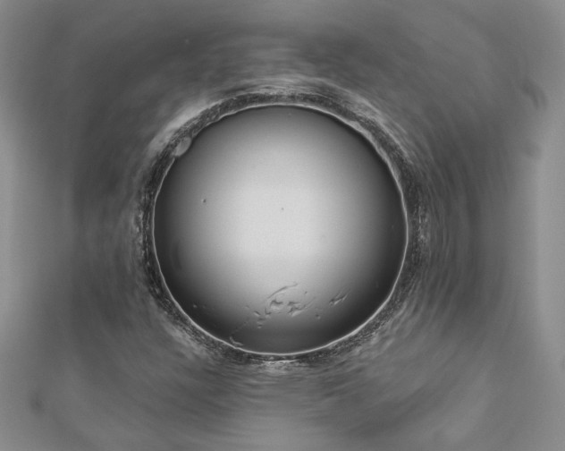 X0000113181304200909041335