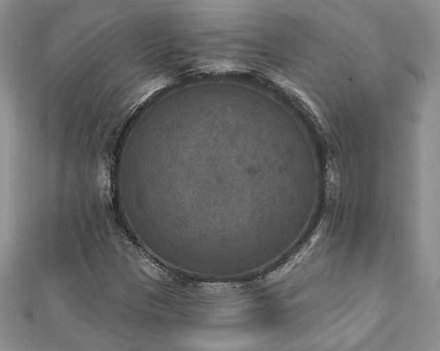 X0000113181305200909041335