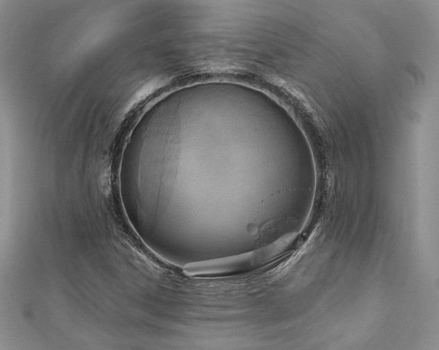 X0000113181306200909041335