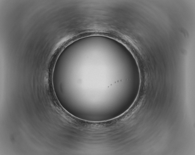 X0000113181307200909041335