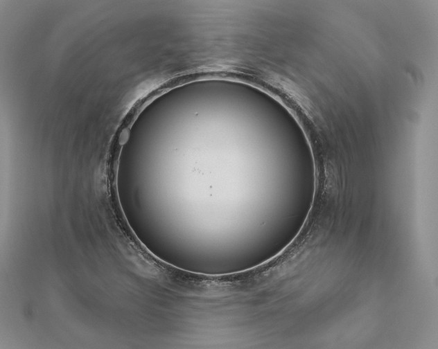 X0000113181308200909041335