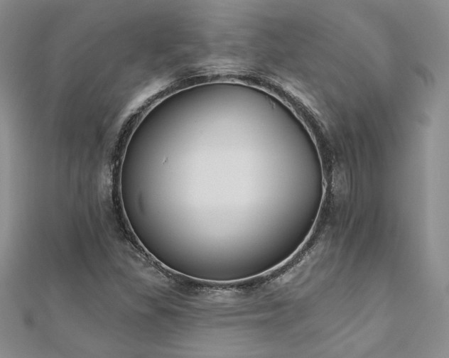 X0000113181309200909041335