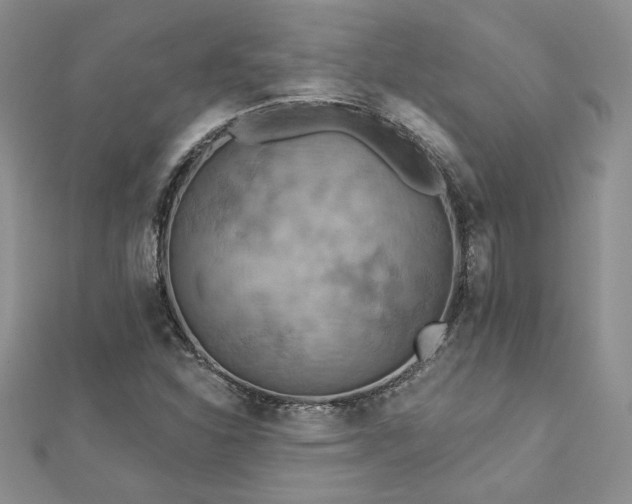 X0000113181310200909041335