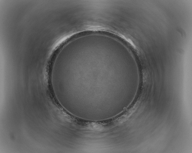 X0000113181311200909041335