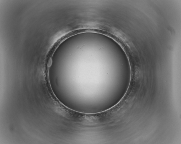 X0000113181312200909041335