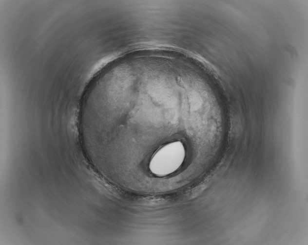 X0000113181314200909041335