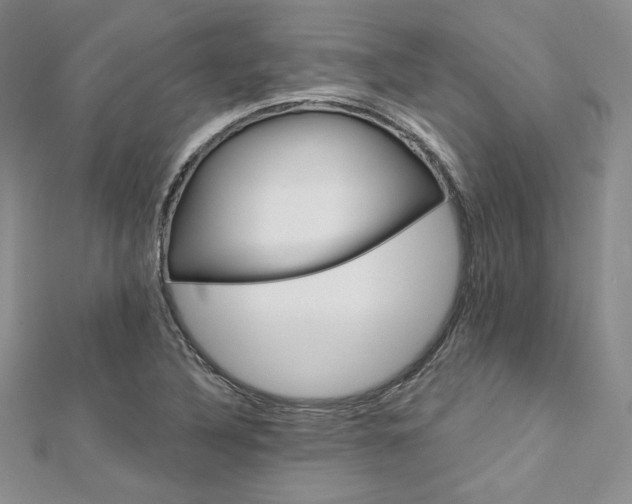 X0000113181316200909041335
